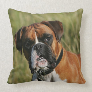 Boxer Dog Staring at Camera Cushion