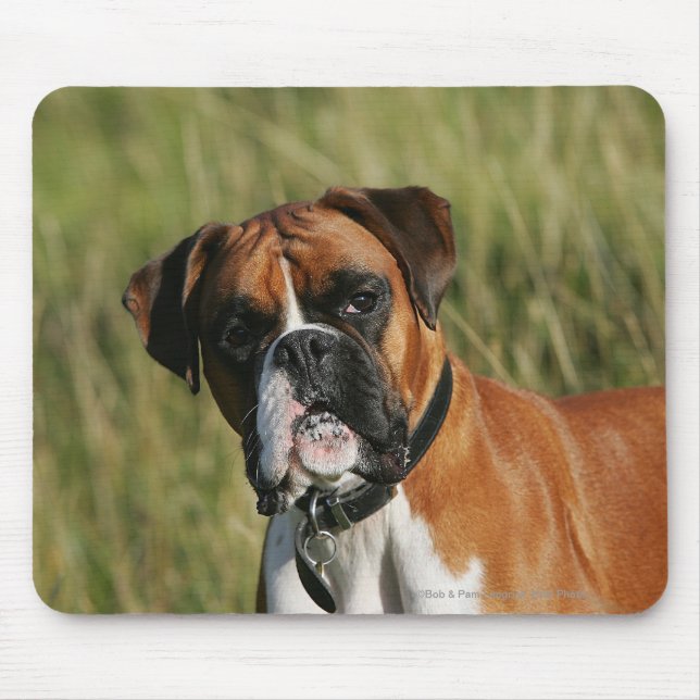 Boxer Dog Staring at Camera Mouse Pad (Front)
