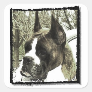 Boxer dog stickers