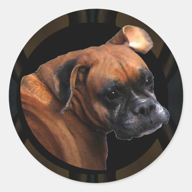 Boxer Dog Stickers (Front)