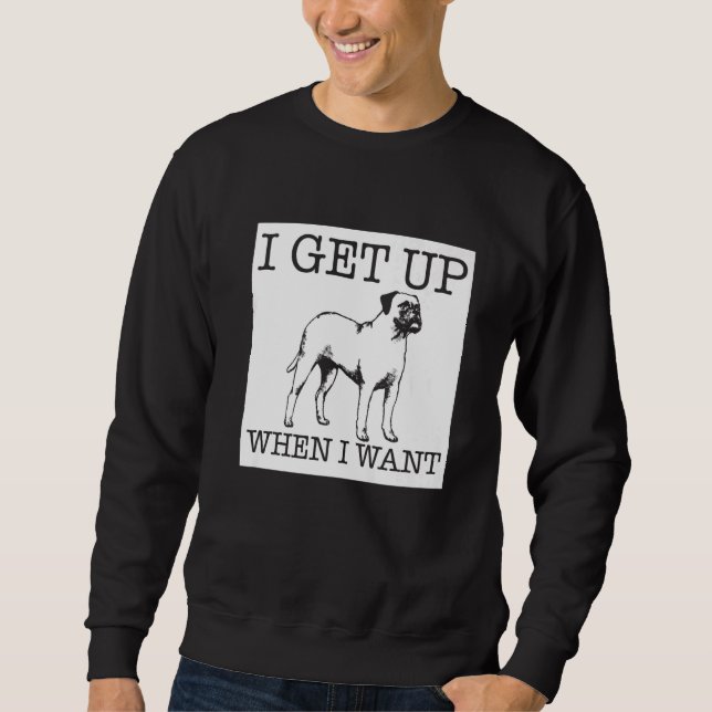 Boxer  dog sweatshirt (Front)
