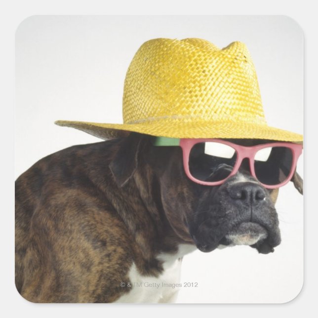 Boxer dog with hat and glasses square sticker (Front)