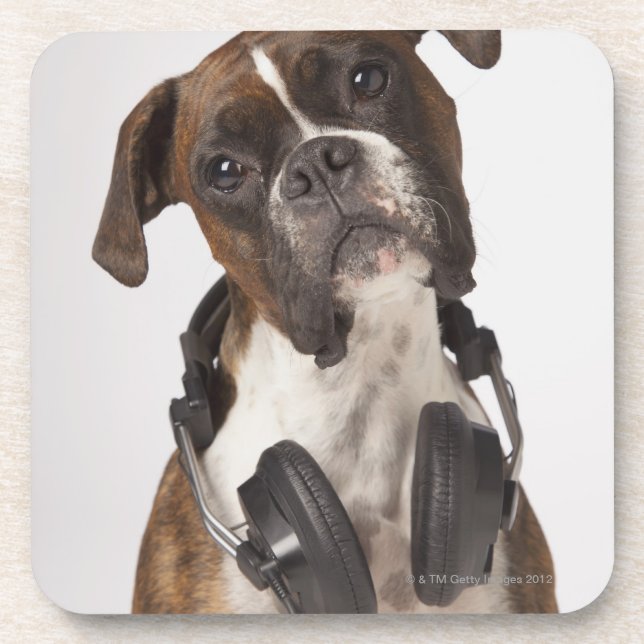 boxer dog with headphones coaster (Front)