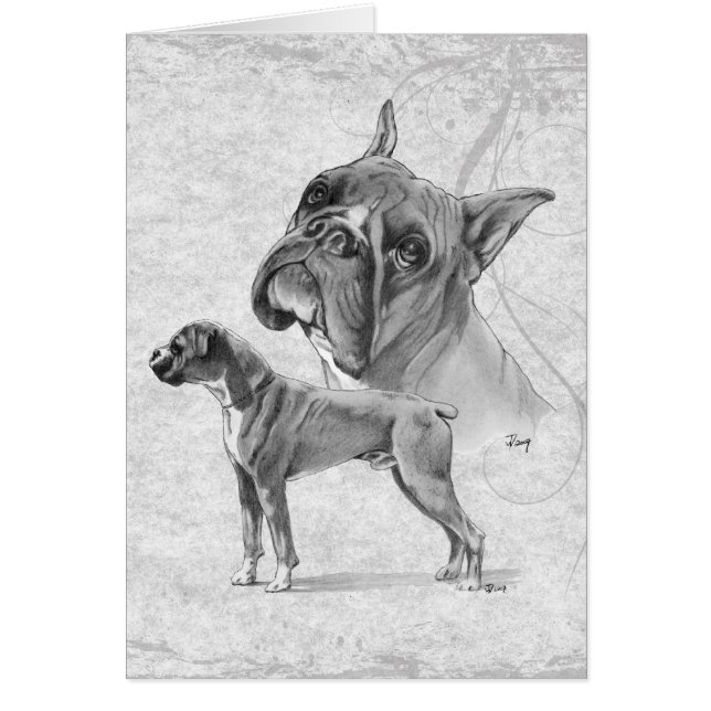 Boxer Dogs (Front)