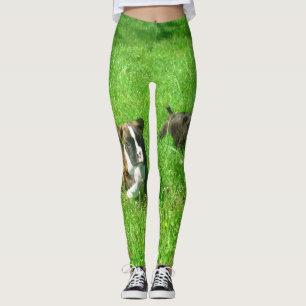 Boxer dogs green art leggings