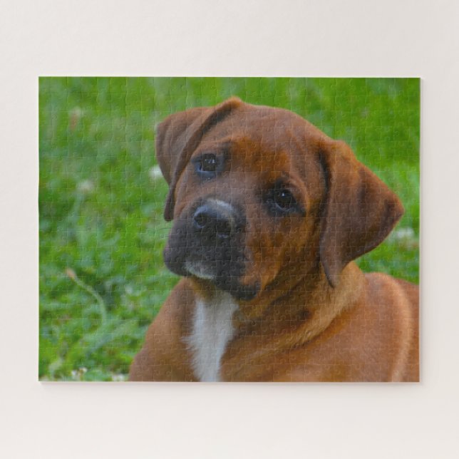 Boxer Dog's Jigsaw Puzzle (Horizontal)