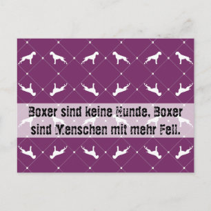Boxer dogs postcard