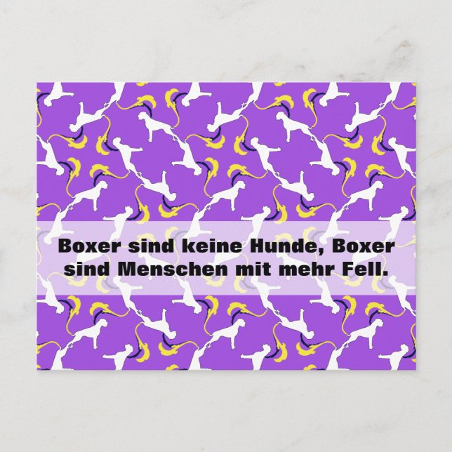 Boxer Dogs Postcard (Front)