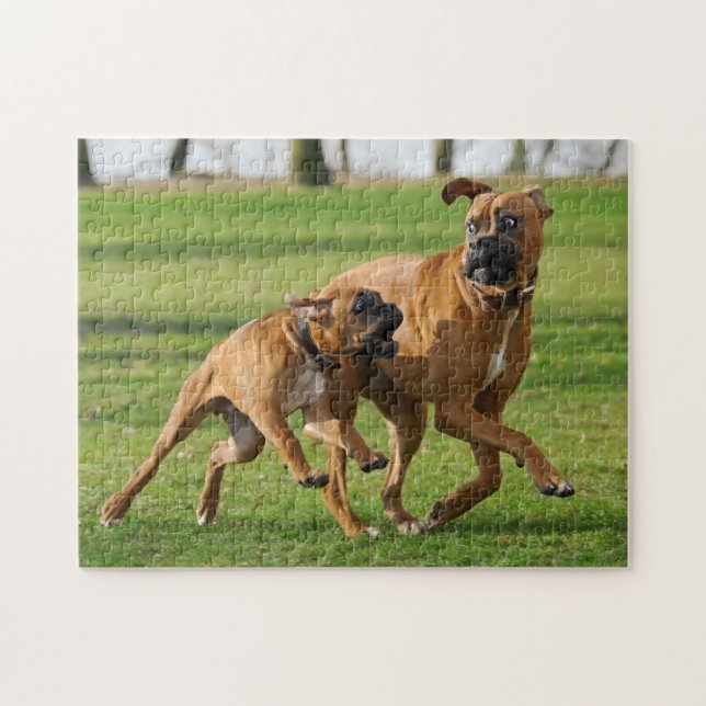 Boxer dogs run a funny race jigsaw puzzle (Horizontal)