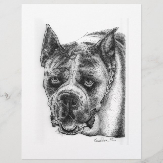 Boxer Drawing Flyer (Front)