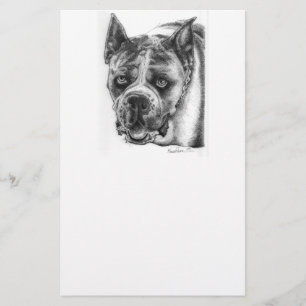 Boxer Drawing Stationery