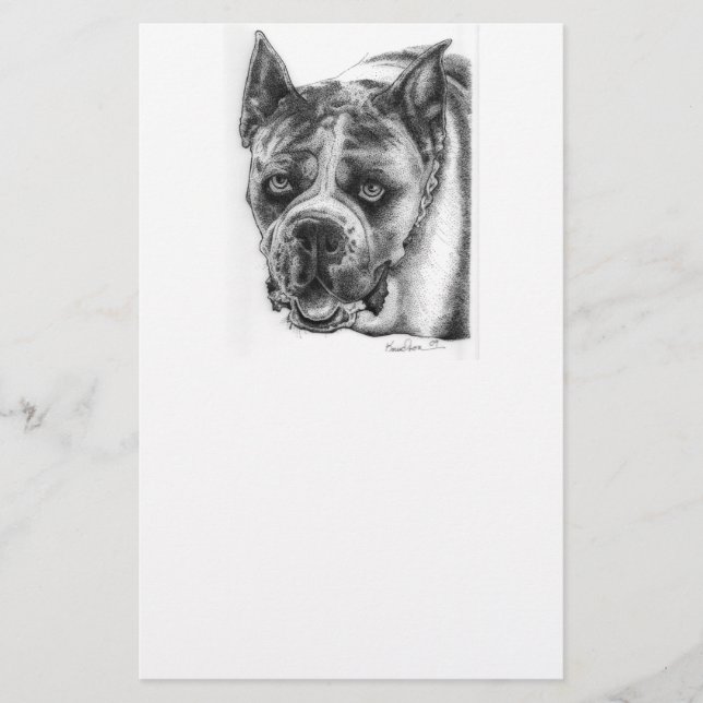 Boxer Drawing Stationery (Front)