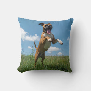 Boxer Elegant Throw Pillow