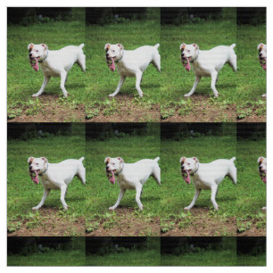 Boxer Fabric