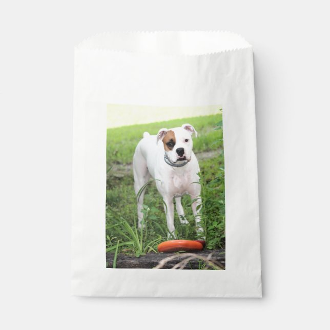 Boxer   favour bag (Front)