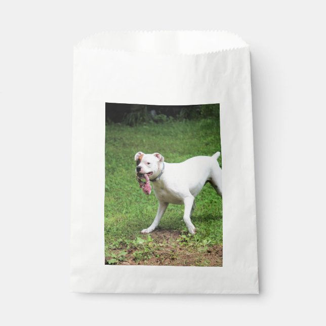 Boxer    favour bag (Front)