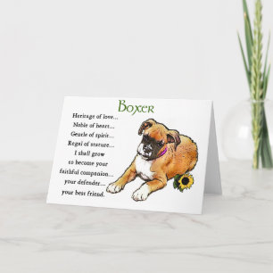 Boxer Gifts Card
