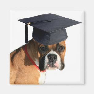 Boxer graduate magnet