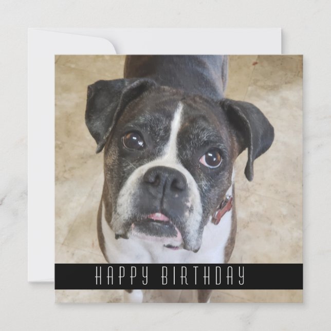 Boxer Happy Birthday From Dog Birthday Card (Front)