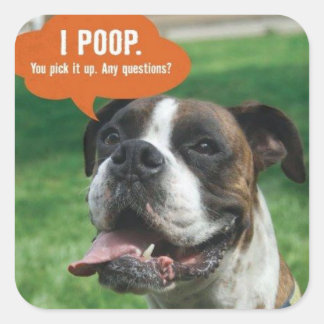 Boxer - I poop Square Sticker