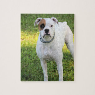 Boxer Jigsaw Puzzle