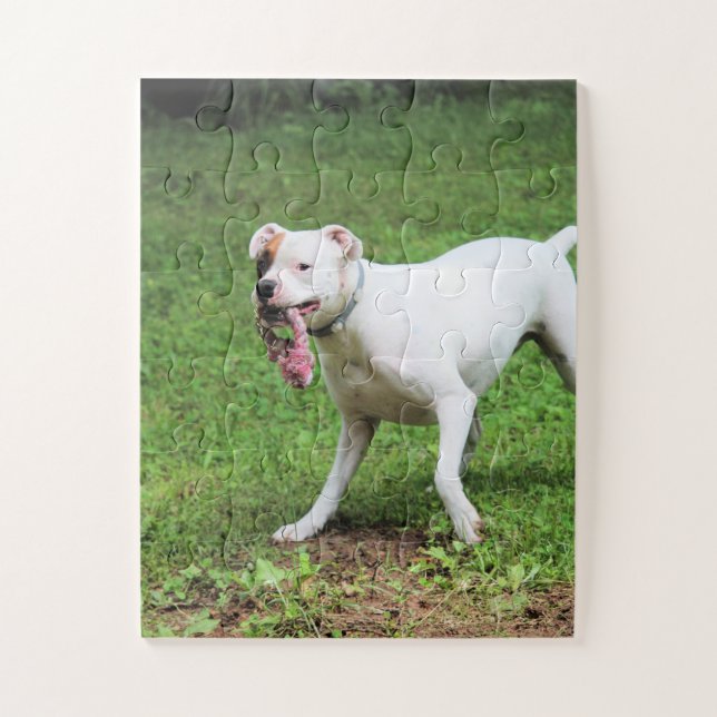 Boxer Jigsaw Puzzle (Vertical)
