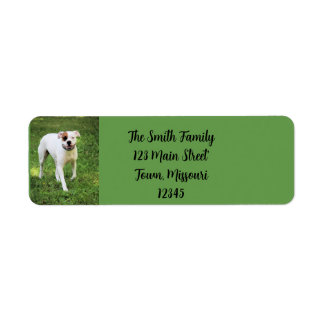 Boxer Label Return Address Label