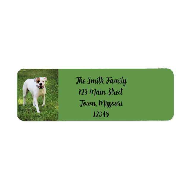 Boxer Label Return Address Label (Front)