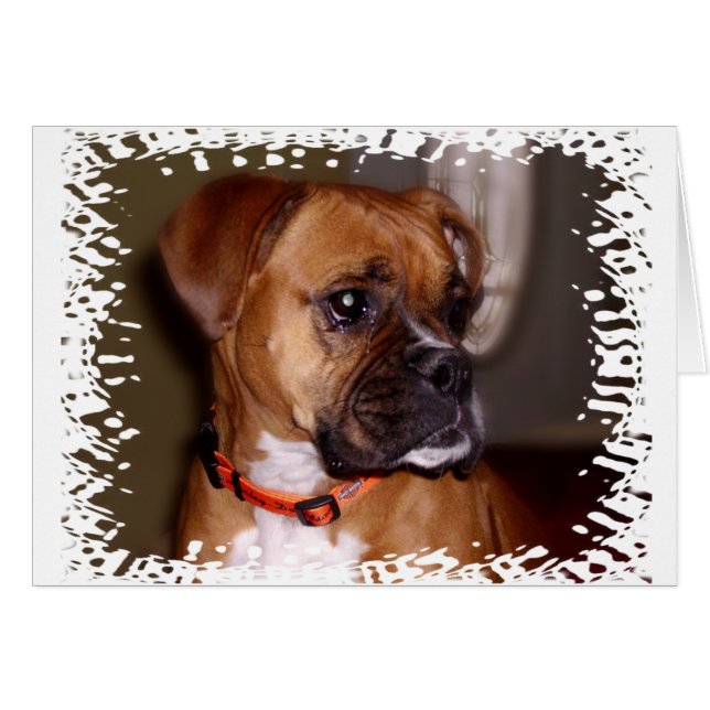 Boxer Love (Front Horizontal)