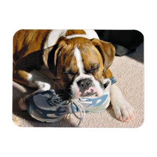 Boxer Love Magnet
