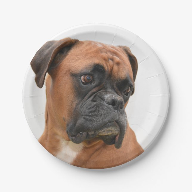 boxer paper plate (Front)