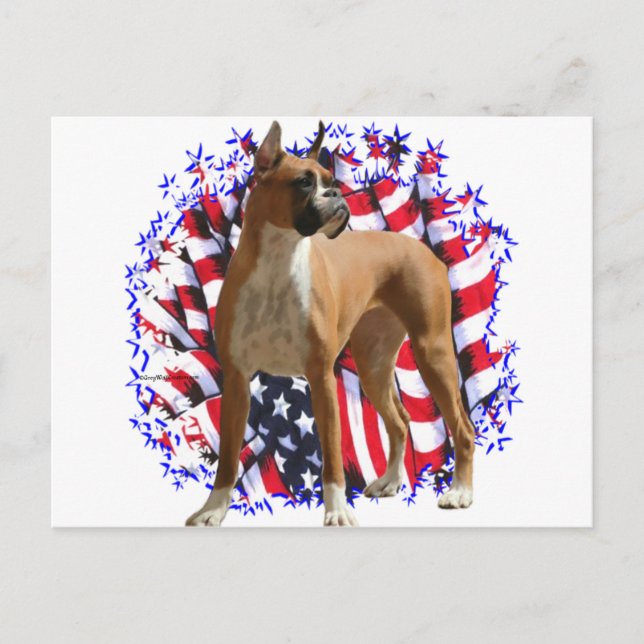 Boxer Patriot Postcard (Front)