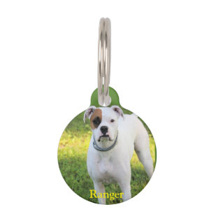 Boxer Pet Tag