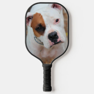 Boxer Pickleball Paddle