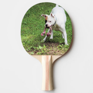 Boxer Ping Pong Paddle