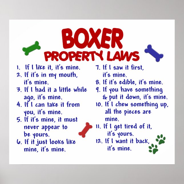 BOXER PL2 POSTER (Front)