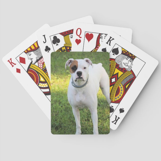 Boxer Playing Cards (Back)