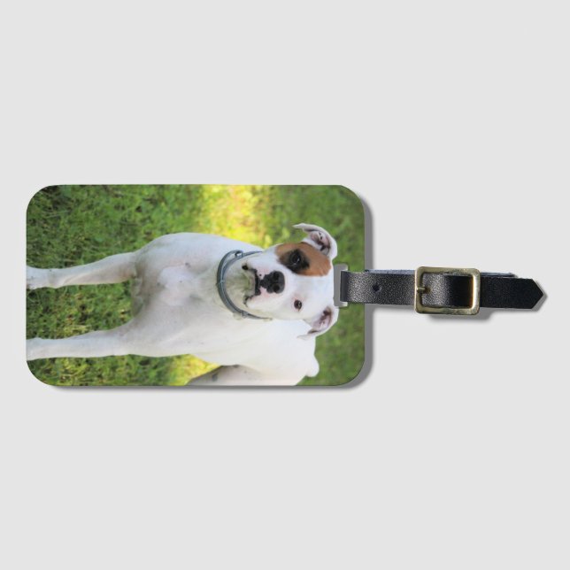 Boxer Playing Cards Luggage Tag (Front Horizontal)