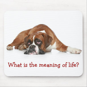 Boxer Pondering the Meaning of Life Mousepad
