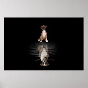 Boxer Poster