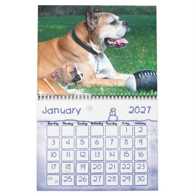 Boxer Puppies 2010 Calendar (Jan 2027)