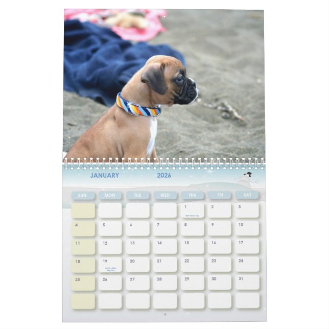 Boxer Puppies 2011 Calendar (Jan 2026)