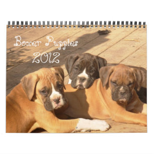 Boxer Puppies 2012 Calendar