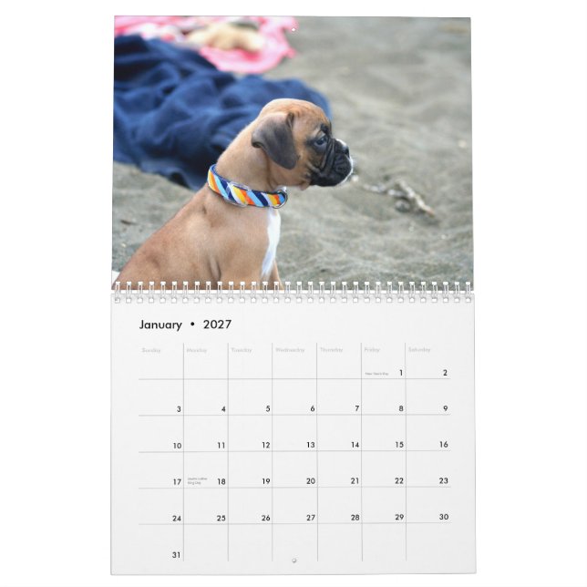 Boxer Puppies 2013 Calendar (Jan 2027)