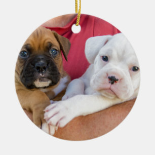 Boxer Puppies Ceramic Ornament