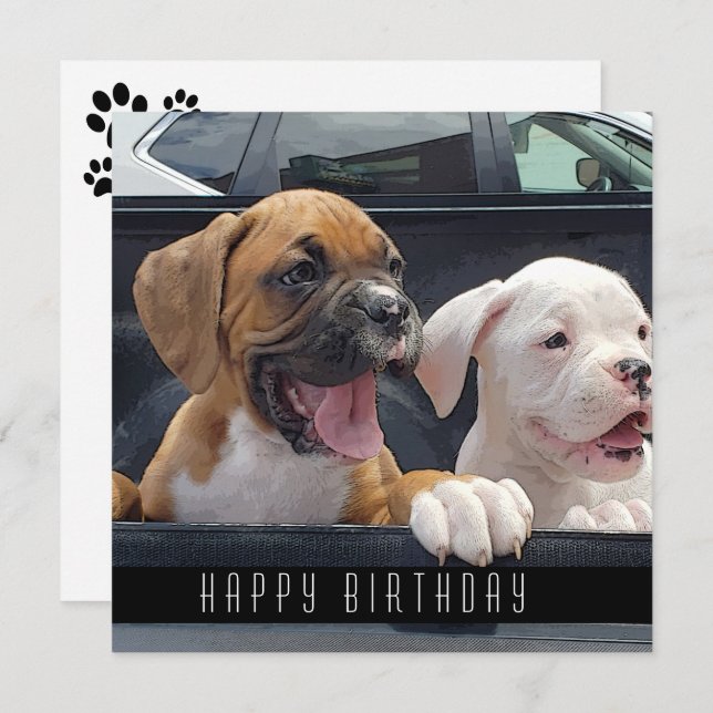 Boxer Puppies Happy Birthday Dogs Announcement (Front/Back)