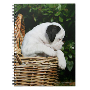 Boxer Puppies in Basket Notebook