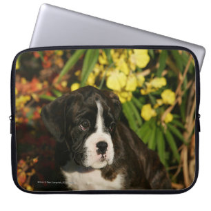 Boxer Puppies Laptop Sleeve