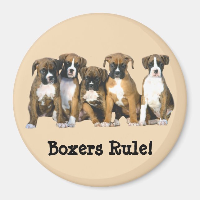Boxer Puppies Magnet (Front)