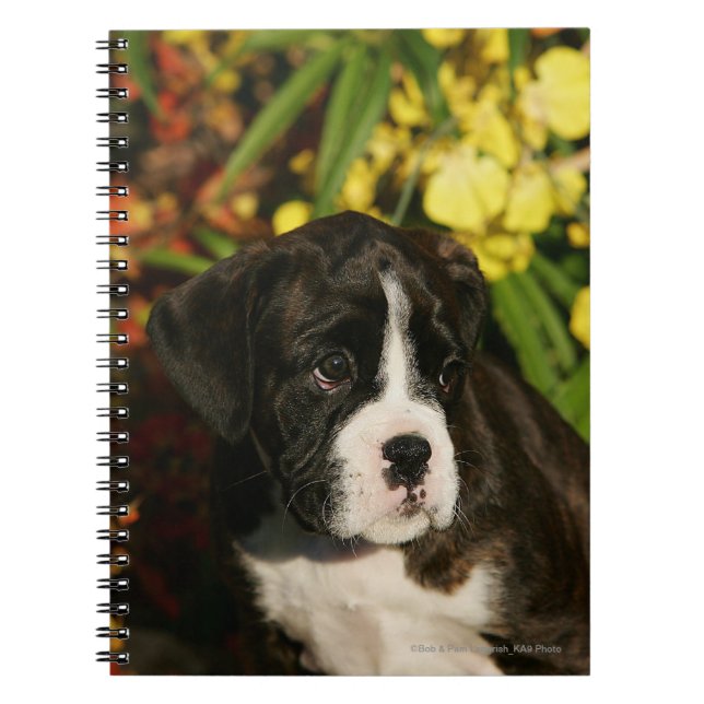 Boxer Puppies Notebook (Front)